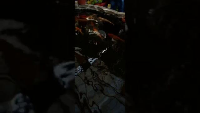 Райский уголок. Расслабление. Настрой на рабочий лад.??