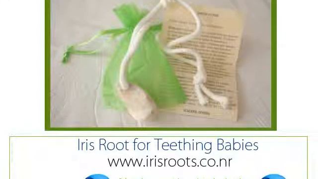 Корня Ириса при прорезывании зубов Производитель экспортеров смотреть онлайн