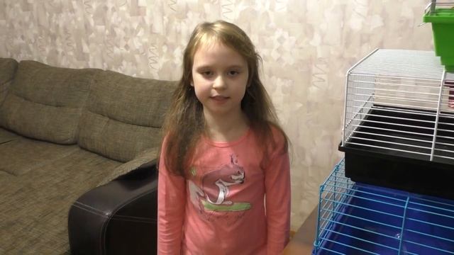 Пустые клетки! Кого же заселить? смотреть онлайн