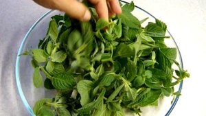 Как сохранить мяту и #зелень#свежей#без заморозки#сушки#Заготовка на зиму# how to keep greens fresh