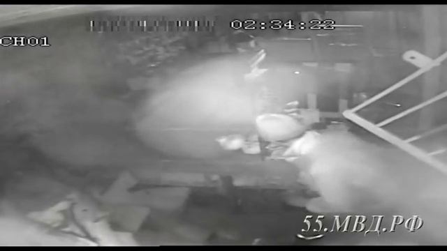 В Омской области воры разобрали трубу и ограбили магазин. Видео с камер смотреть онлайн