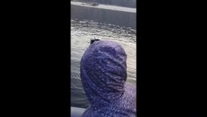 Река Урми. Заезд 2018 года. Третий день