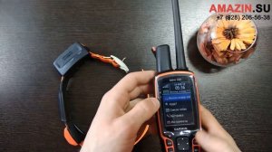 Навигатор Гармин Астро 320 с ошейником Т5 для охотничьих собак