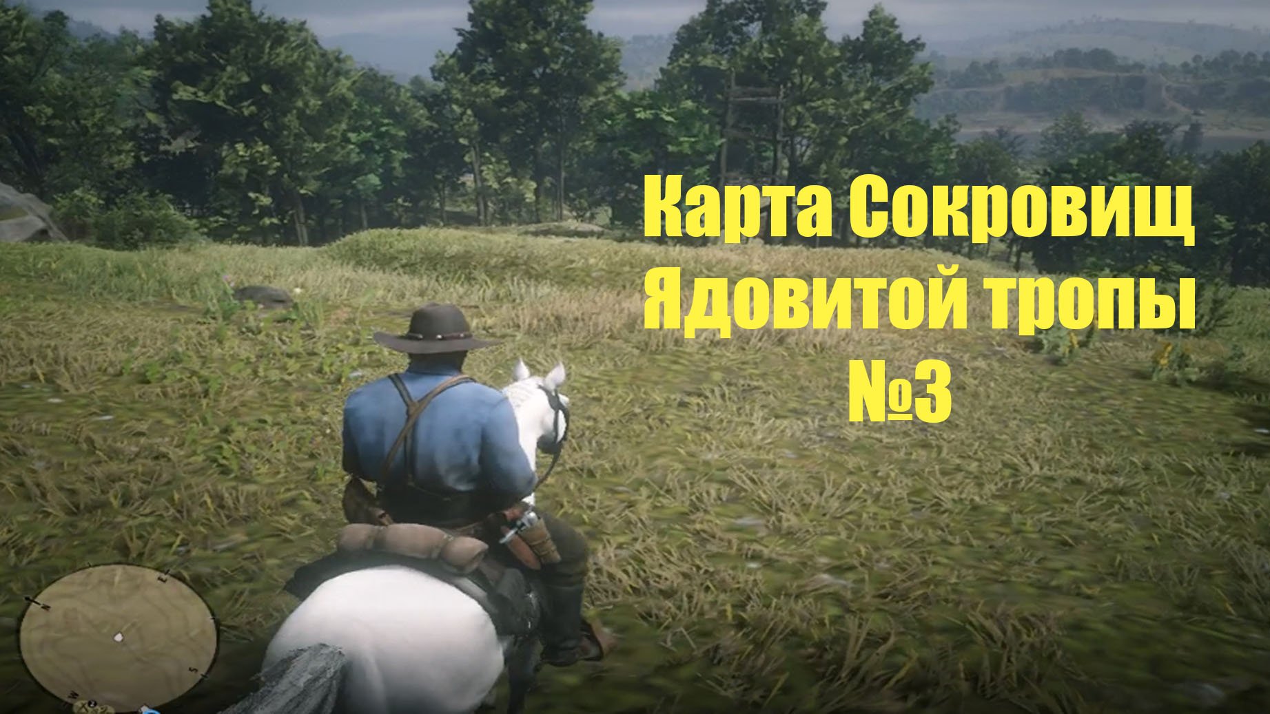 Карта сокровищ rdr 2 ядовитой тропы 3