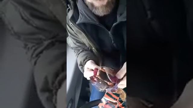 #vladislavconnect#лайфхак #lifehack #бутерброд#перекус#еда#кухня#повар#пикник#мак#хлеб#изюм смотреть онлайн