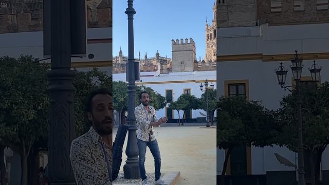 ??? Фламенко акапелло. Севілья #spain #spainvlog #vlog #españa #andalusia #sevilla #іспанія #севіль