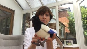 Занятие по развитию речи для детей 2-4 лет. Зарядка для пальчиков. Пальчиковая гимнастика СОРОКА.