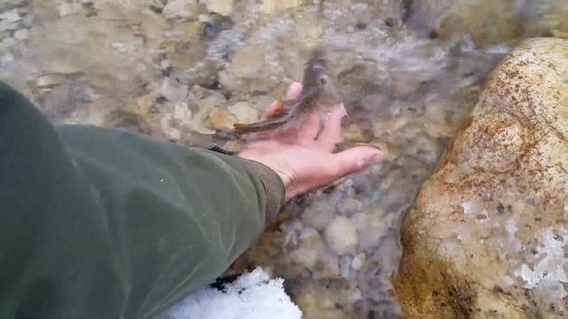 Рыбалка в КБР # Fishing