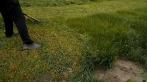 Продолжение. Косьба ручной косой по газонной траве. Scything.