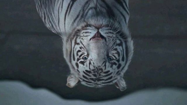 Собери волосы в пучок смотреть онлайн