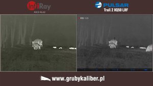 InfiRay Rico RL42 vs Pulsar Trail 2 XQ50 LRF - Porównanie