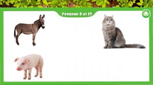 Домашние животные.  Малыш учит. Играем вместе. Игрушки и игры с детьми.