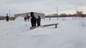 Барская прихоть, Кемерово. отдых в загородном доме с конюшнями
