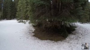 Обогрев палатки без печки древесным углем .mp4