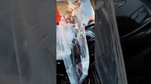 купил стёкла фар с али экспресс на mazda 6 gg.