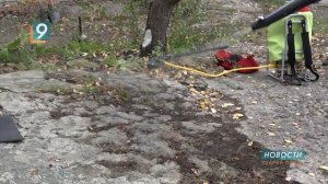 Юные лесоводы учатся беречь природу