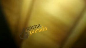 Проверенное магазинное средство от шашеля и прочего древоточца