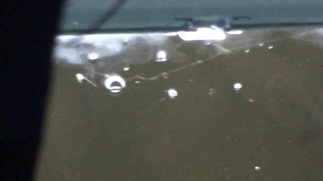 Ночная съемка пруда с карпами и карасями смотреть онлайн