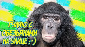 Дан Запашный на улице с обезьянами / Dan Zapashny on the street with monkeys
