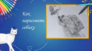 Как нарисовать собаку