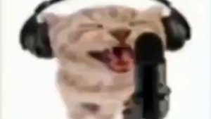 Ёб тваю мать на что я жмал