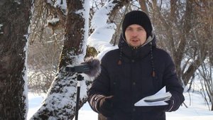 Как вести переговоры с полицией?