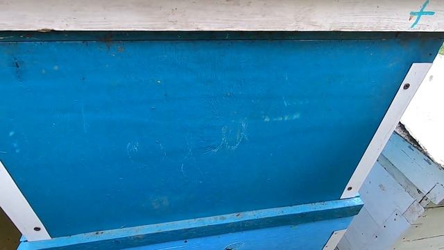 Пчёлы давят матку, неправильная подсадка! Работаю с двумя корпусами, акация не дает нектара, роение смотреть онлайн