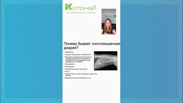 Синдром раздраженного кишечника у животных. смотреть онлайн