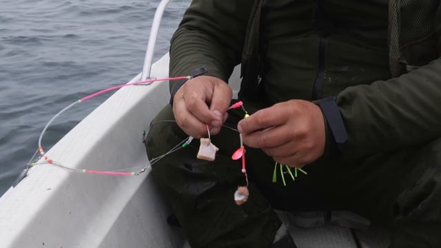 Сахалин. Миллионы камбалы выдирают спиннинг из рук. смотреть онлайн