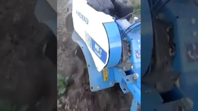 Самодельный роторный окучник в работе. 2019 год. Hoeing potatoes. Rotary spud.