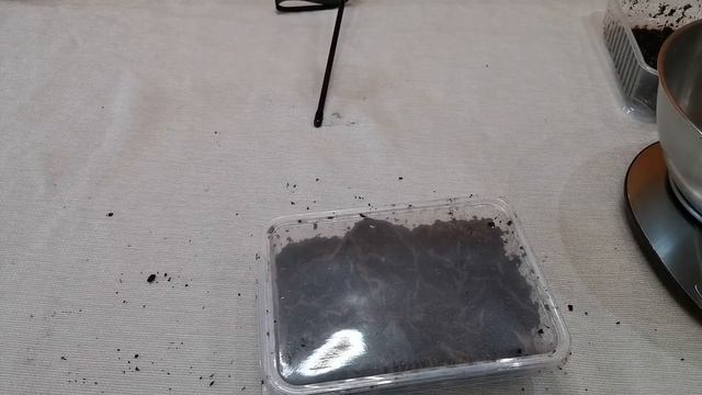 Самый быстрый способ получения удобрения в домашних условиях. Биогумус быстро дома. смотреть онлайн