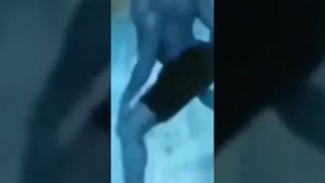 Синий человек эпично танцует под фонк (фулл версия)