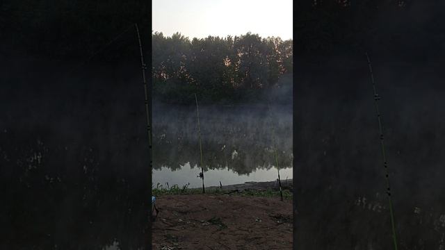 Раннее утро на реке. В ожидании клёва...