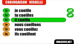 [French verbs conjugation] [Group 3] # Cueillir - Indicatif Présent