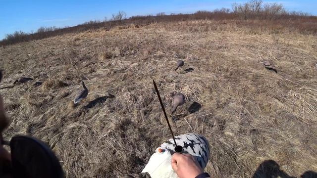 ОХОТА НА ГУСЯ / ОХОТА НА УТОК / Goose hunting смотреть онлайн