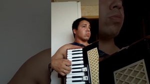 Мурка на аккордеоне