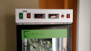 Инкубатор nbf 200. Поехали!
