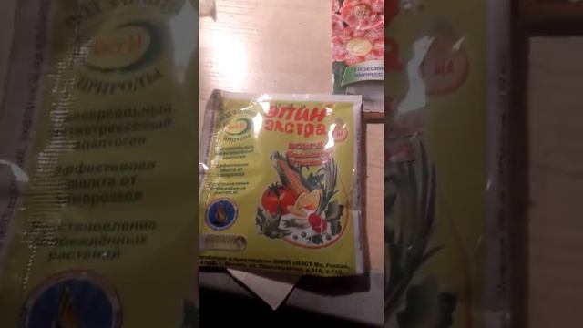 Посадка Глоксинии. смотреть онлайн