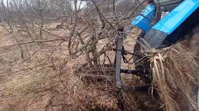 поле с люцерной. продолжаем корчевать смотреть онлайн