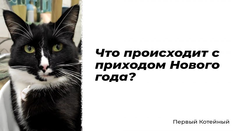 Что происходит с приходом Нового года? ?