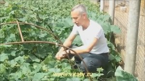 [Советы новичкам] Rainbow Six: Siege - Оперативник Доккаеби/Dokkaebi(гайд)