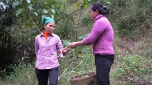 Agricultural Harvest ( Tangerine, vegetable ) Goes to the market sell | Lý Thị Ca