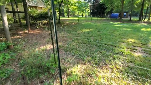 Planting Silver Queen Corn смотреть онлайн