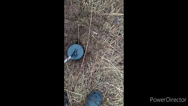 открытие сезона металлокопа