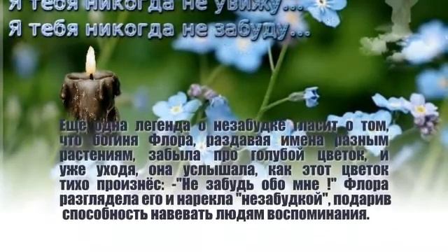 незабудки песня смотреть онлайн