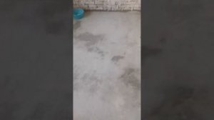 Бюджетный ремонт. Обои на пол