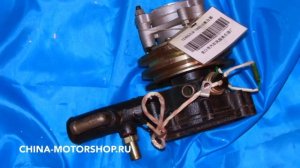 Помпа Юджин 1020  YUEJIN 1020 насос водяной YZ485ZLQ