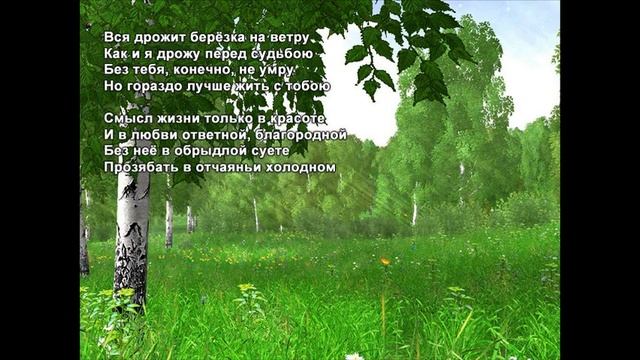 осина обыкновенная и береза различия. берёза бруньки пушистые. береза повислая крона. тополь дрожащий (populus tremula). осина обыкновенная (populus tremula).