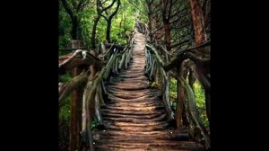 Enchanted Forest - Ambient/Psychill/Downtempo