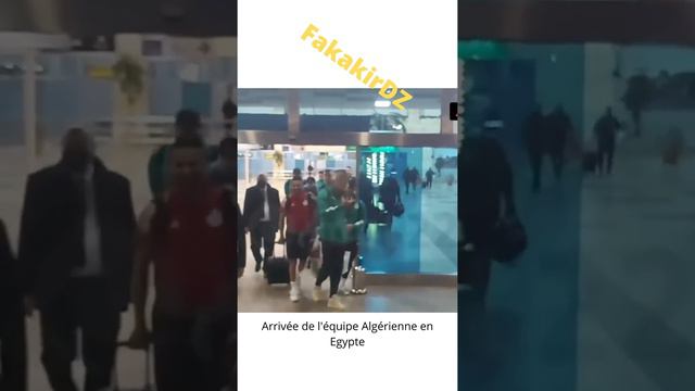 Arrivée de l'équipe nationale Algérienne en Egypte وصول المنتخب الجزاري لمصر لمواجهة جيبوتي #Short